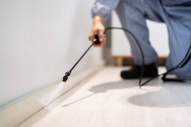 Licensed Pest Control service in Grant, MI - Show Me Pest Control